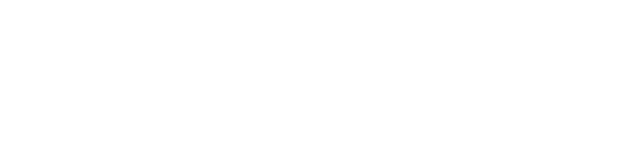 IT Service Group