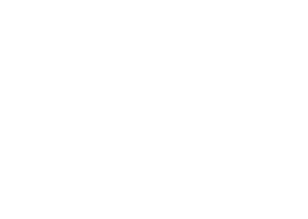 Ömer Ergül