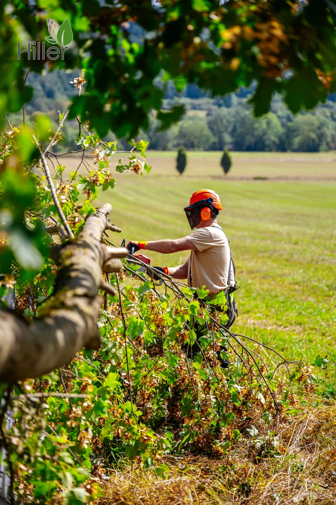 Foto aus unserer Produktion für Garten Hiller – Bild 10 von 14