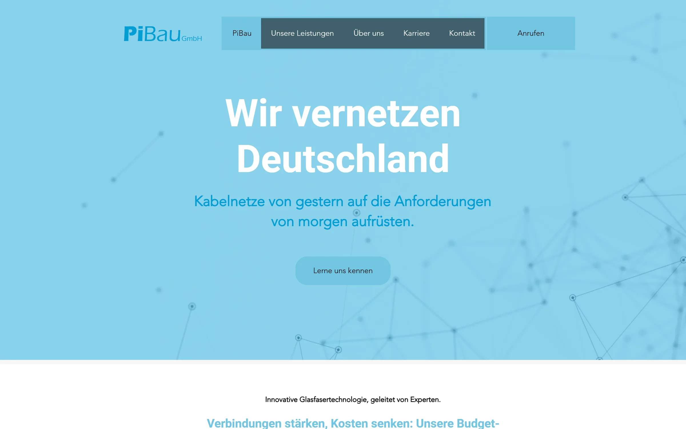 Website PiBau
